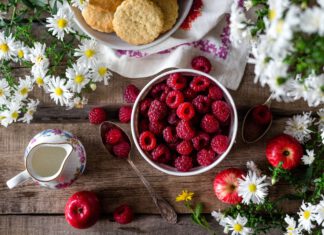 Malinočernice jsou sladké, plné vitamínu C a na pěstování nenáročné. Co víc si přát?